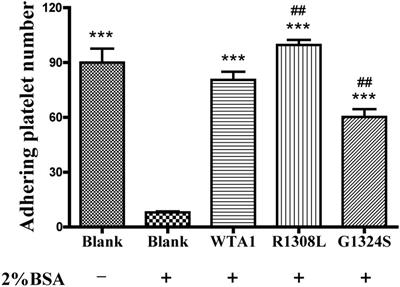 Shear Stress Accumulation Enhances von Willebrand Factor-Induced Platelet P-Selectin Translocation in a PI3K/Akt Pathway-Dependent Manner